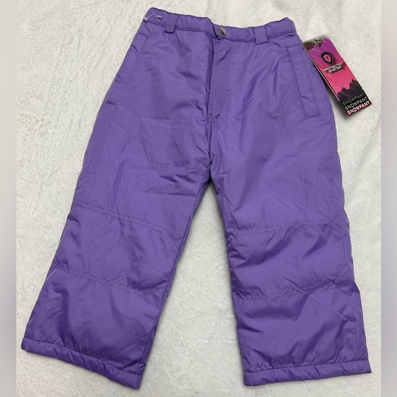 Protection System Other - 2T Purple Snow Pants Protective System NWT